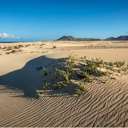 Апартаменты Casa Sandra